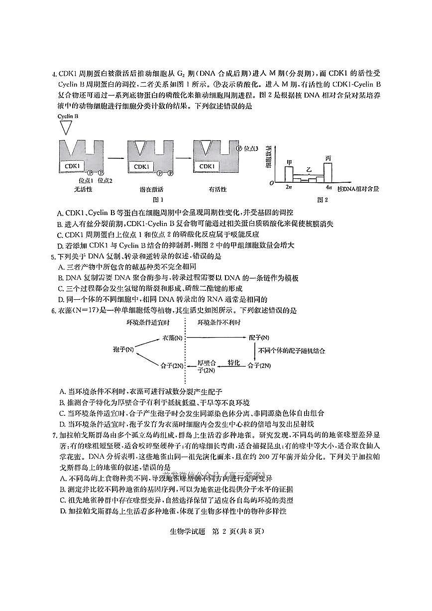 2025年华大联盟高考模拟生物试题及答案第2页