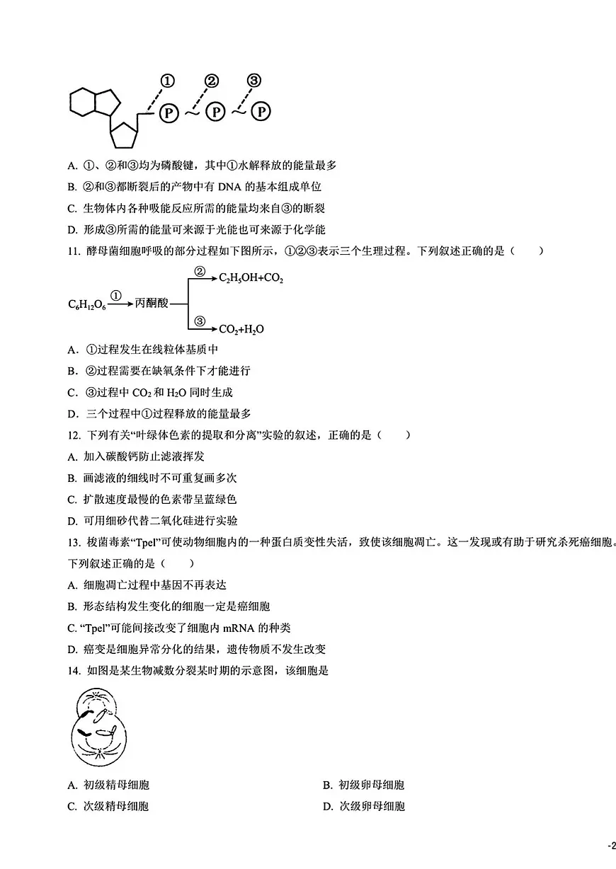 2024年山东省普通高中学业水平合格考试高二生物夏季合格考会考仿真模拟试题（无答案）第3页