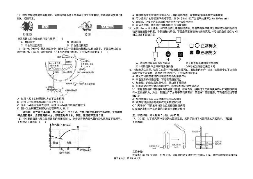 生物丨湖南省长沙市雅礼中学2025届高三下学期5月冲刺模拟训练试卷及答案第2页