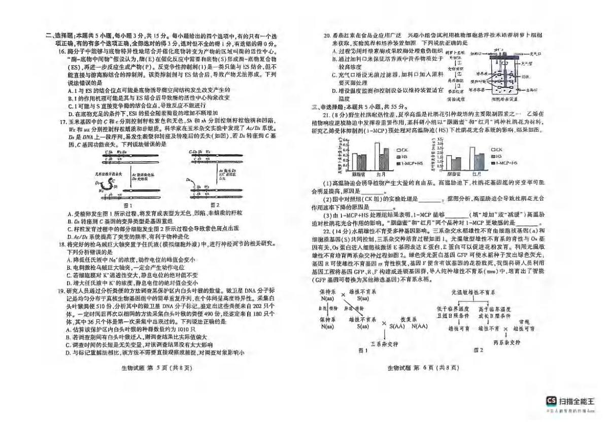 生物丨山东省潍坊市2025届高三下学期5月三模考试试卷及答案第3页