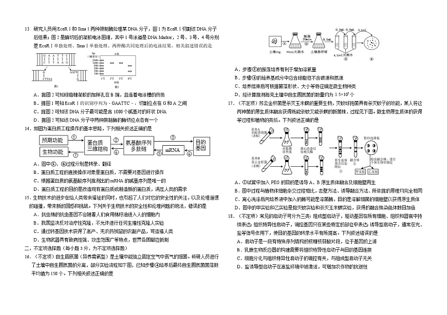 吉林省长春外国语学校2024-2025学年高二下学期期中考试生物试卷（Word版附答案）第3页