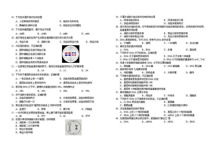 吉林省长春外国语学校2024-2025学年高一下学期期中考试生物（学考）试卷（Word版附答案）第2页