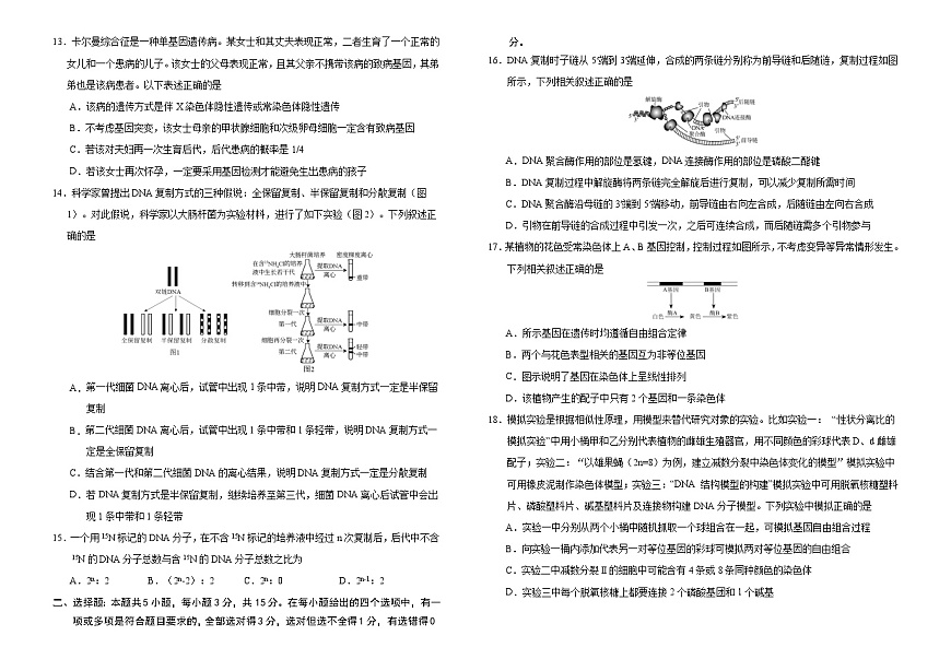 吉林省长春外国语学校2024-2025学年高一下学期期中考试生物试卷（Word版附答案）第3页