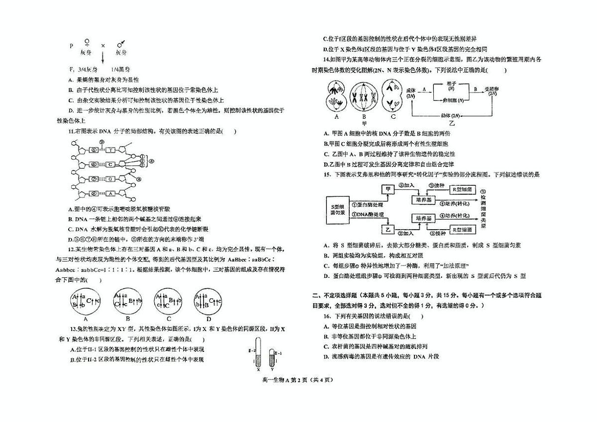 辽宁省鞍山市2024-2025学年高一下学期期中考试生物（A）试卷（PDF版附答案）第2页