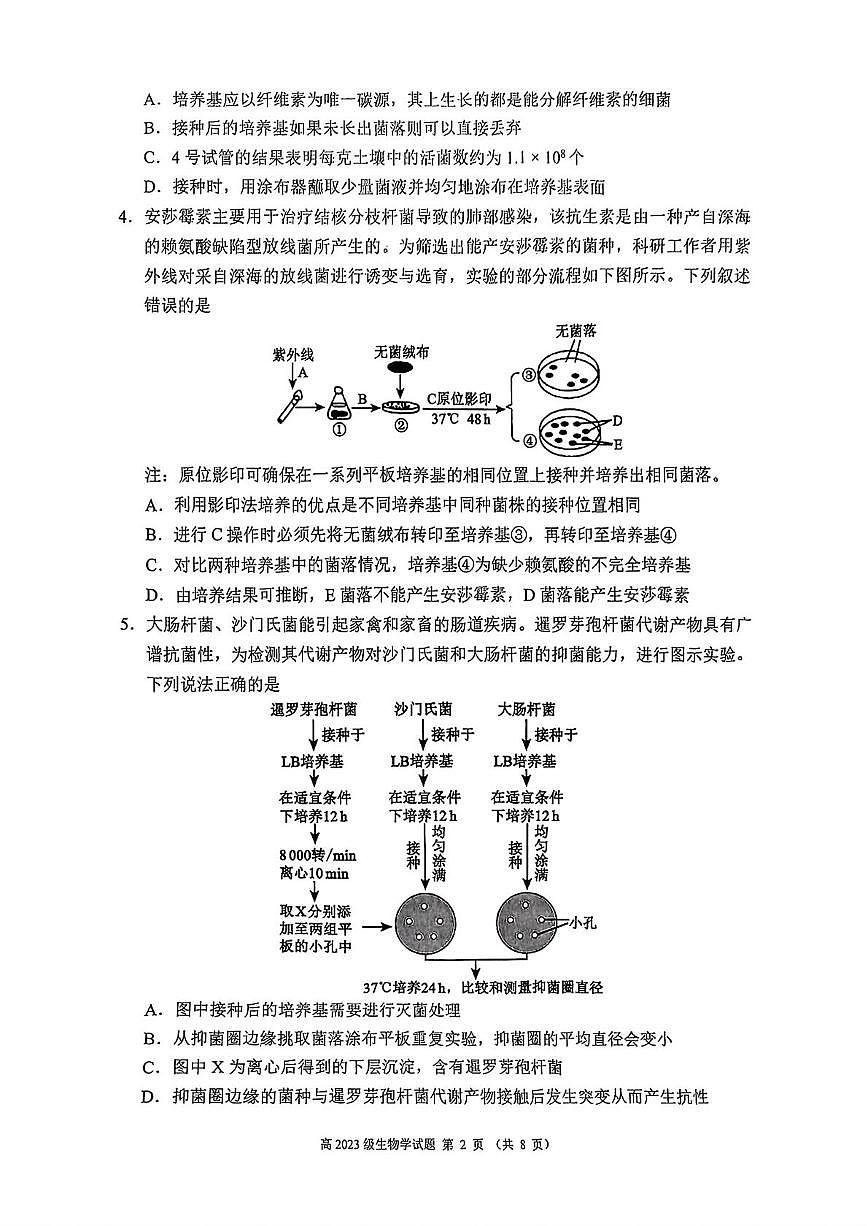 四川省川南地区名校2024-2025学年高二下学期4月期中考试生物试卷（PDF版附答案）第2页