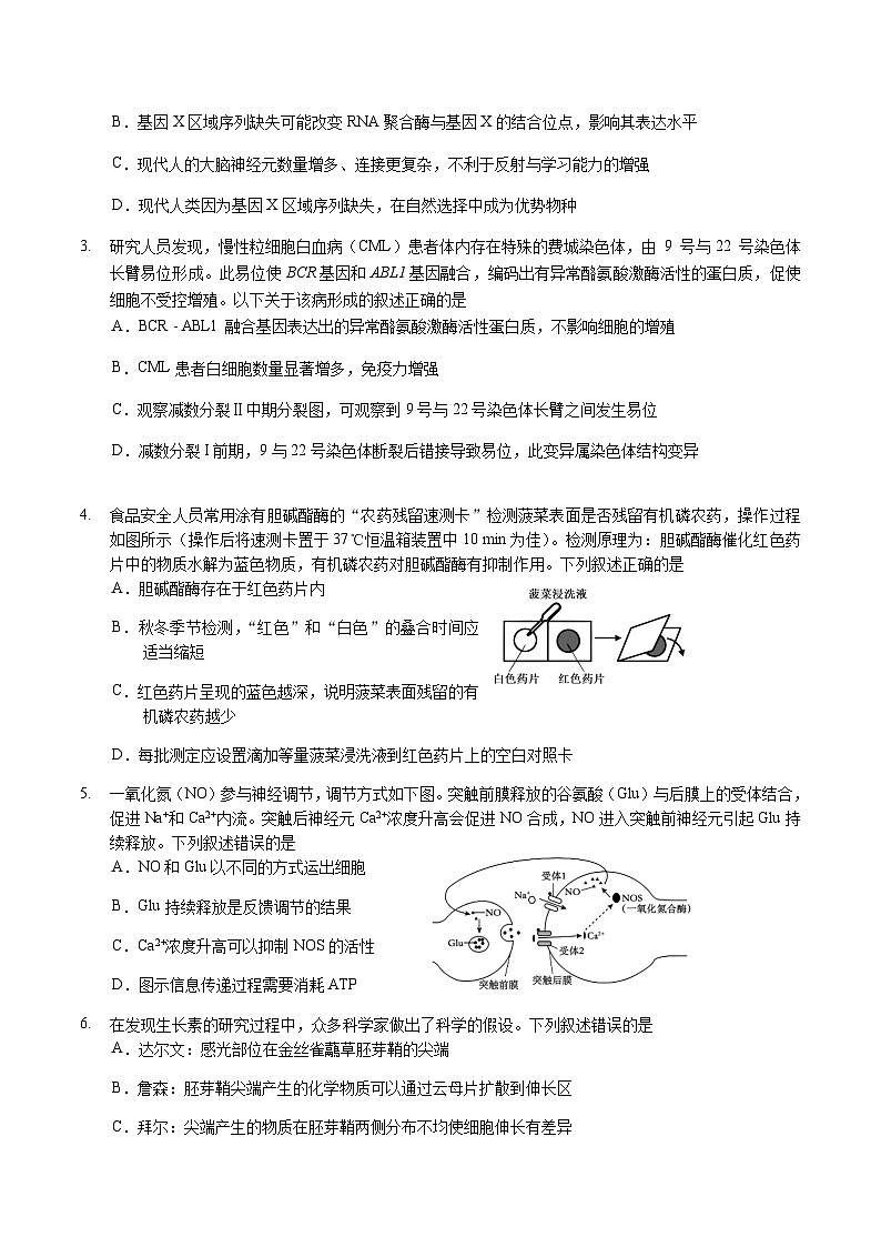 广东省广州市2025届高三下学期考前冲刺训练（一）生物试卷（有答案）第2页