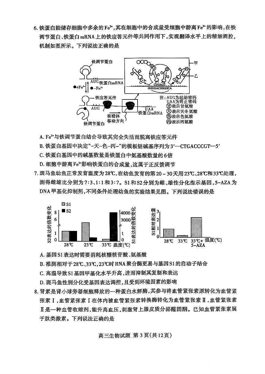 山东省泰安市2025届高三四模检测生物第3页