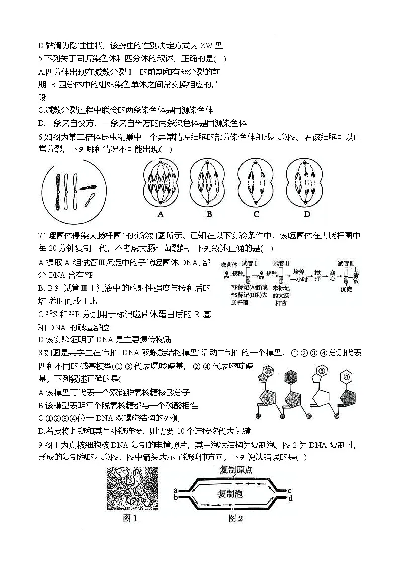 郑州外国语学校2024-2025学年高一下学期期中生物试卷第2页
