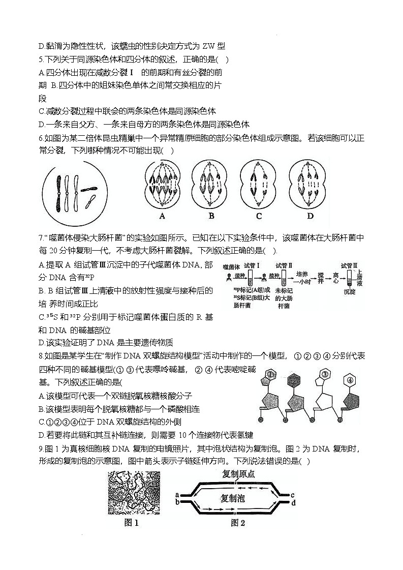 郑州外国语学校2024-2025学年高一下学期期中生物试卷第2页