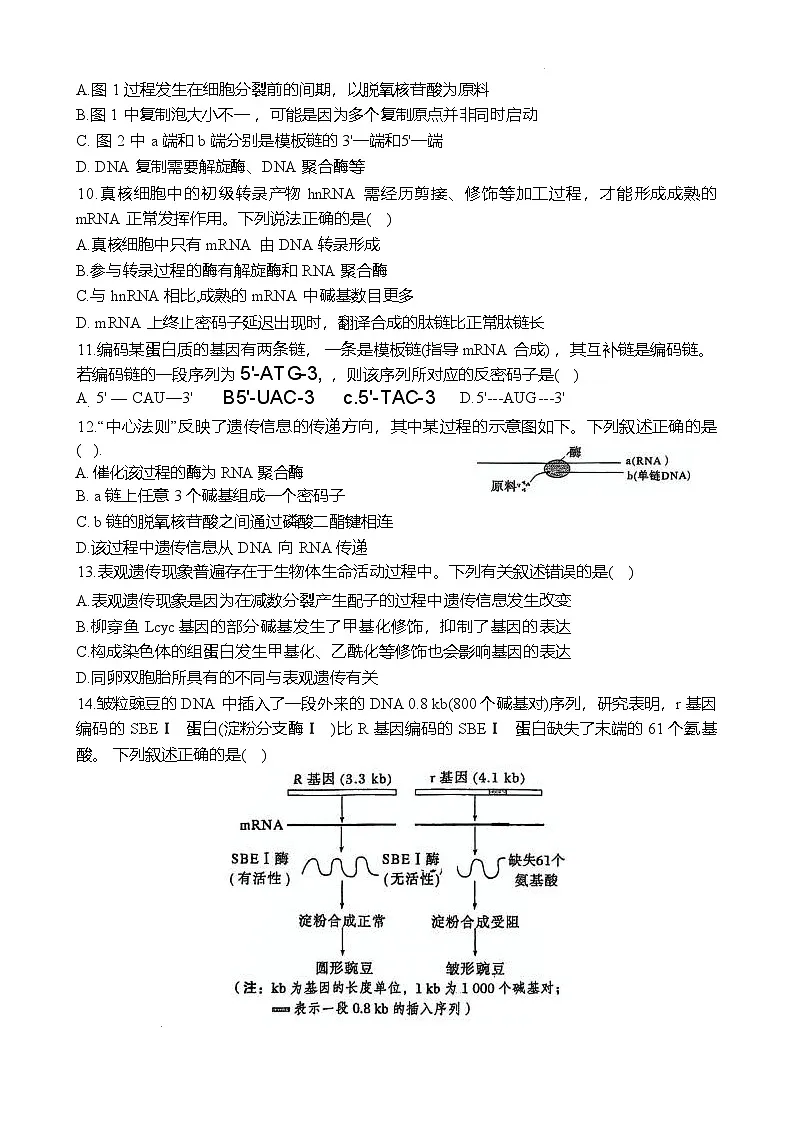 郑州外国语学校2024-2025学年高一下学期期中生物试卷第3页