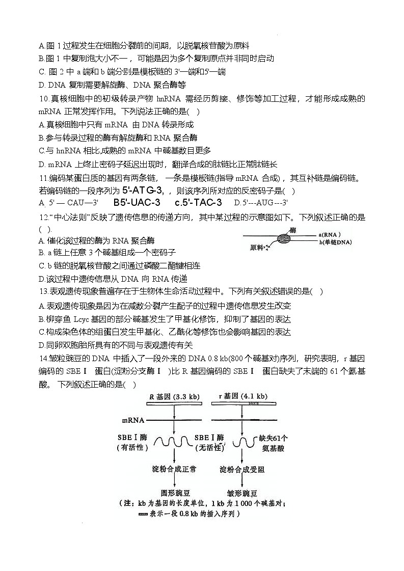 郑州外国语学校2024-2025学年高一下学期期中生物试卷第3页