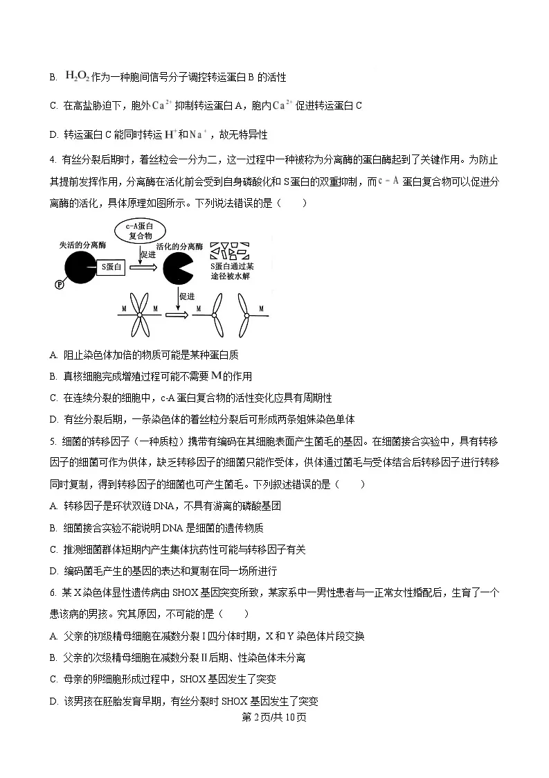 2025届四川省成都市四川师大附中高三三模生物试题（原卷版）第2页