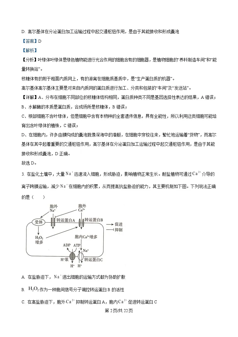 2025届四川省成都市四川师大附中高三三模生物试题 Word版含解析第2页