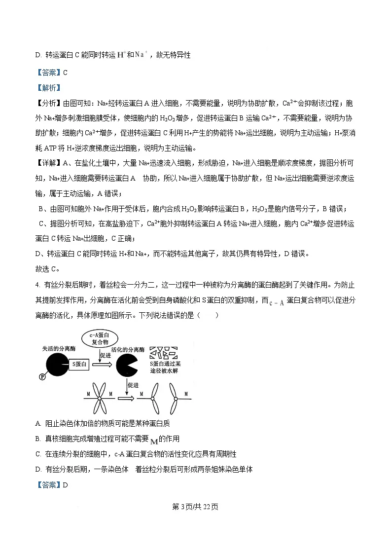 2025届四川省成都市四川师大附中高三三模生物试题 Word版含解析第3页