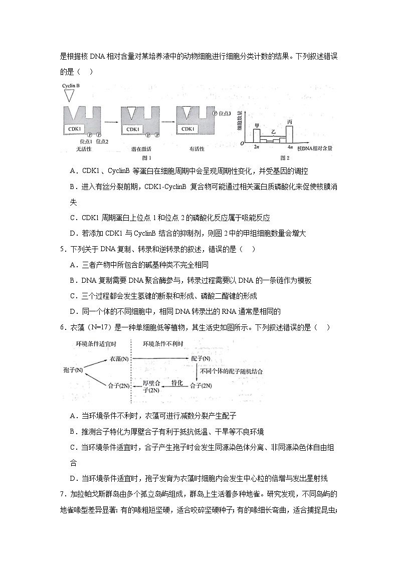 2025届江西省华大新高考联盟名校高考预测卷生物试题（无答案）第2页