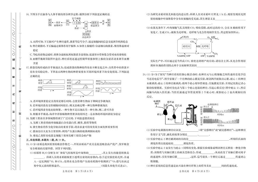 河北省邯郸市2025届高三高考模拟保温考试-生物试题+答案第3页