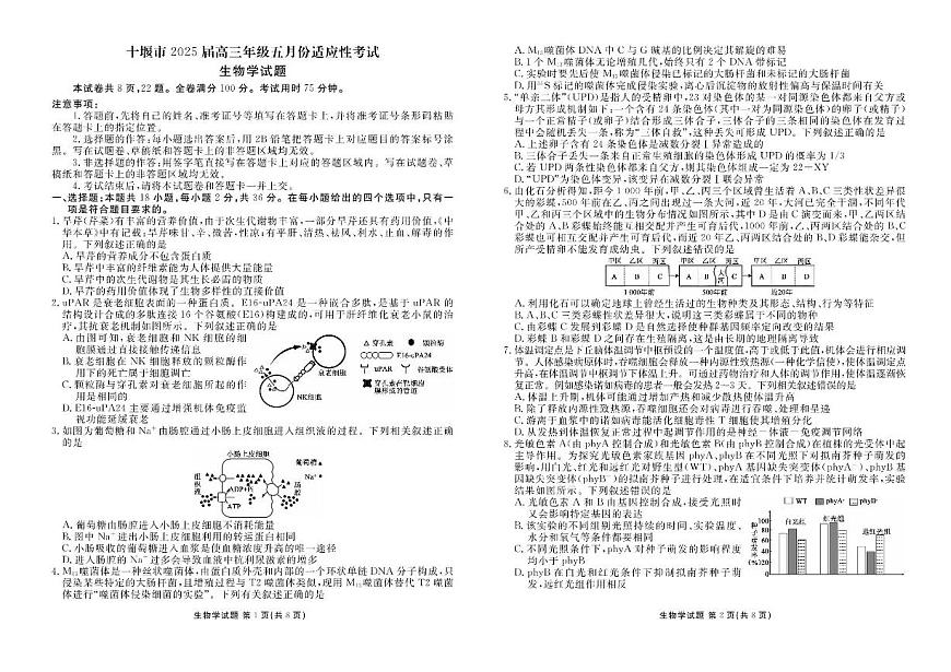 湖北省十堰市2025届高三下学期5月份适应性考-生物试题+答案第1页