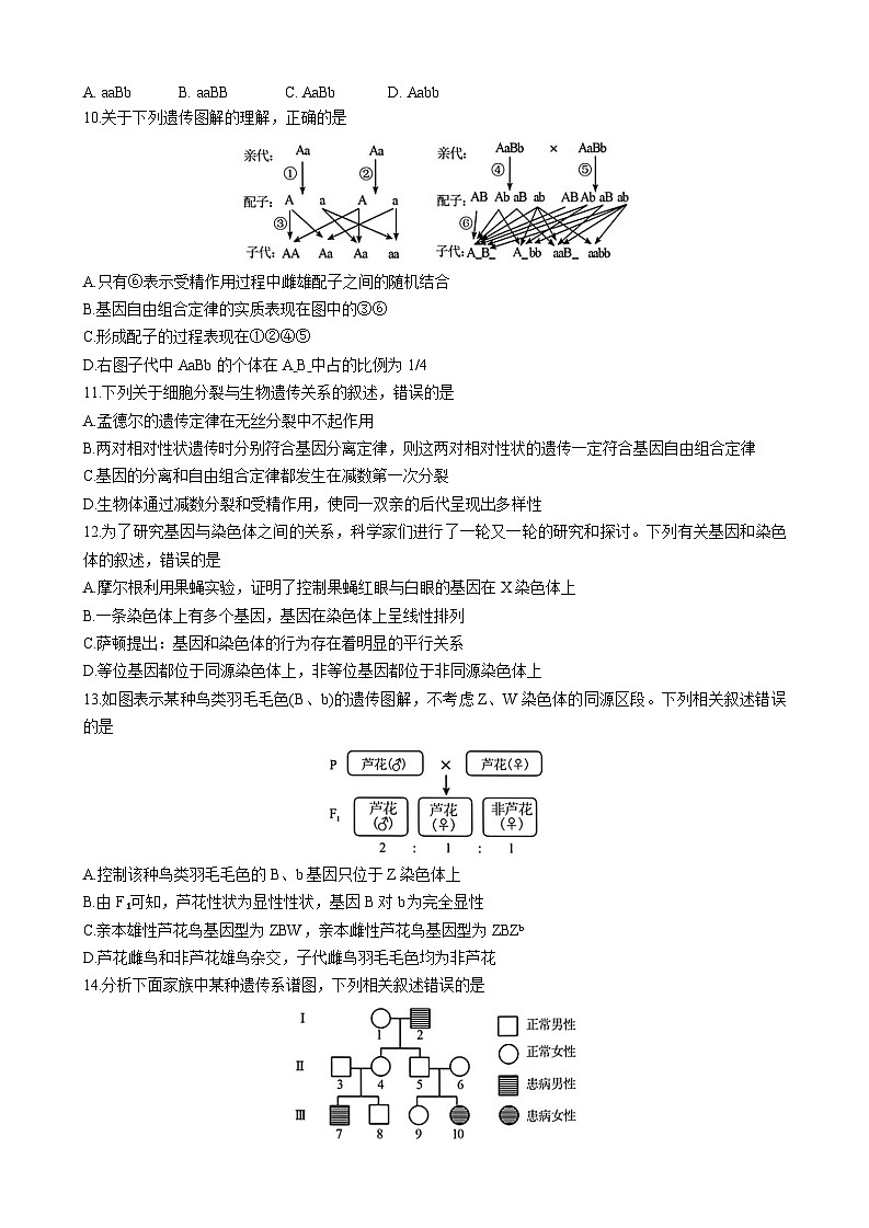 广东省惠州市五校2024-2025学年高一下学期第二次联考生物试卷第3页