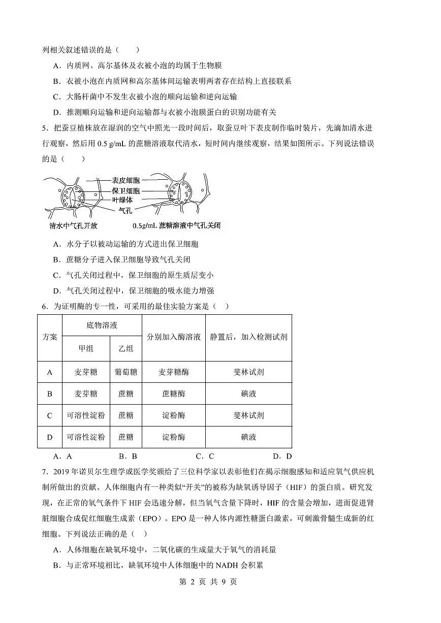 广东省深圳市盐田区深圳外国语学校2024-2025学年高三上学期9月第二次月考生物试题第2页