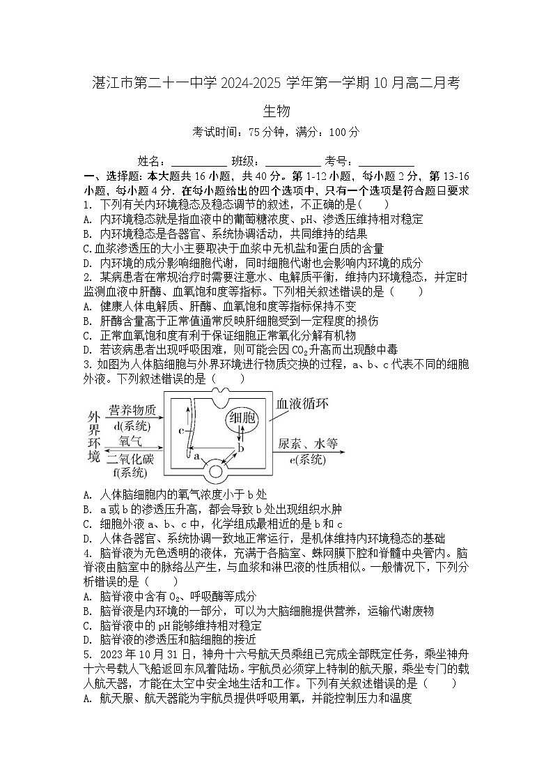 广东省湛江市第二十一中学2024-2025学年高二上学期10月月考生物试题第1页