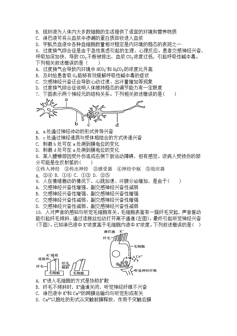 广东省湛江市第二十一中学2024-2025学年高二上学期10月月考生物试题第2页