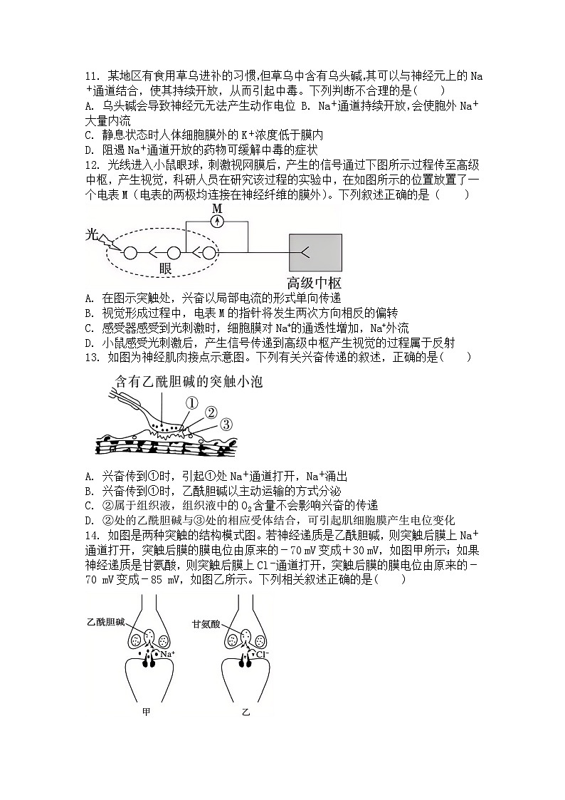 广东省湛江市第二十一中学2024-2025学年高二上学期10月月考生物试题第3页
