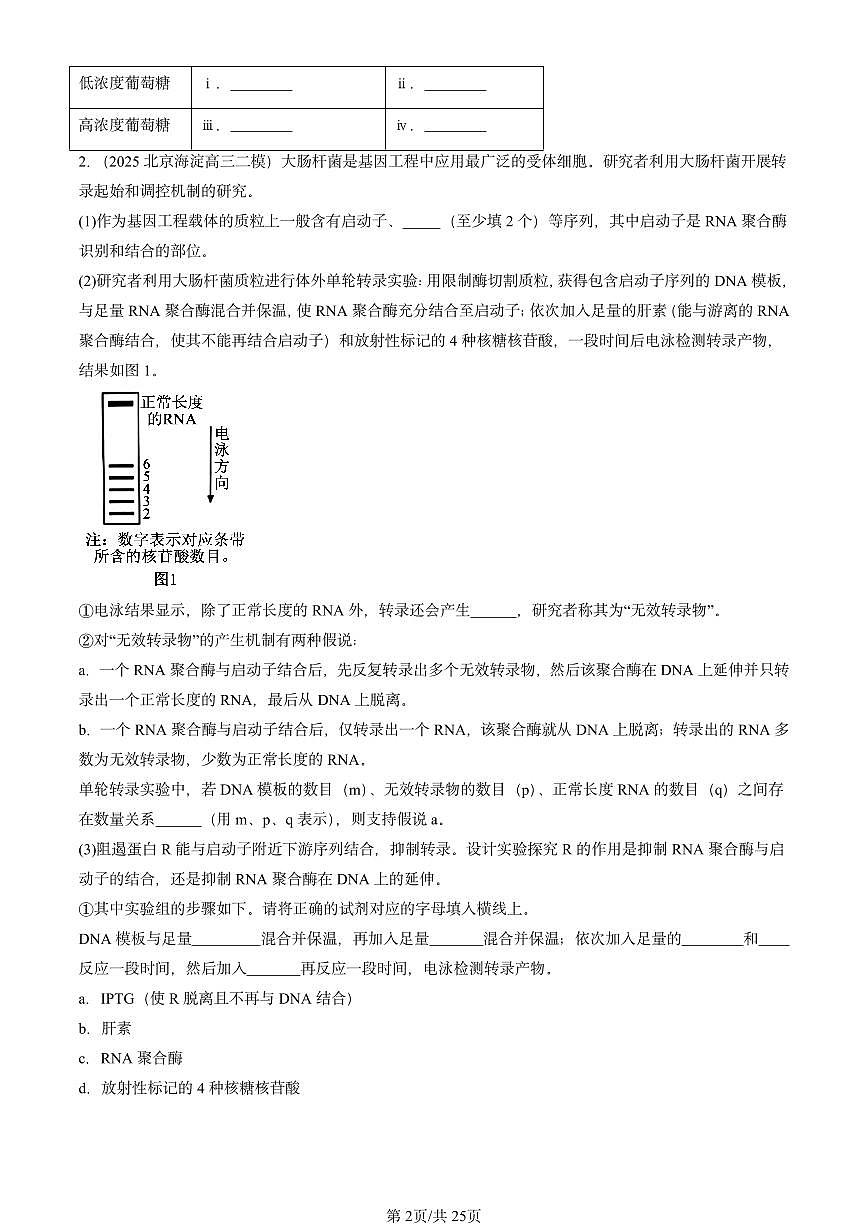 2025北京高三二模[高考模拟]生物汇编：生物技术与工程（非选择题）第2页