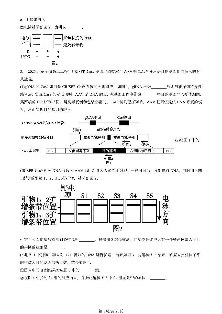 2025北京高三二模[高考模拟]生物汇编：生物技术与工程（非选择题）第3页