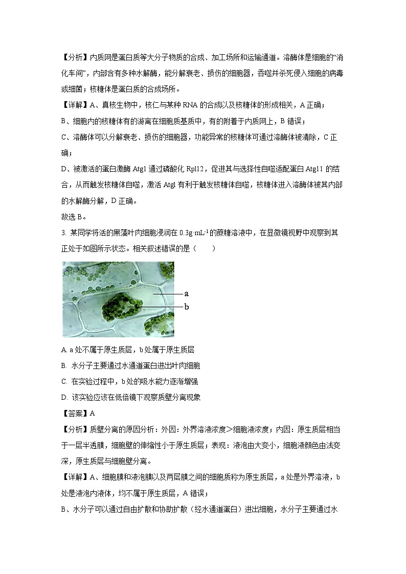 安徽省皖南八校2024-2025学年高一下学期4月期中生物试题（解析版）第2页
