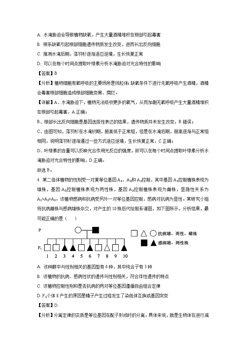 江西省部分高中学校2025届高三下学期4月联考生物试题（解析版）第3页