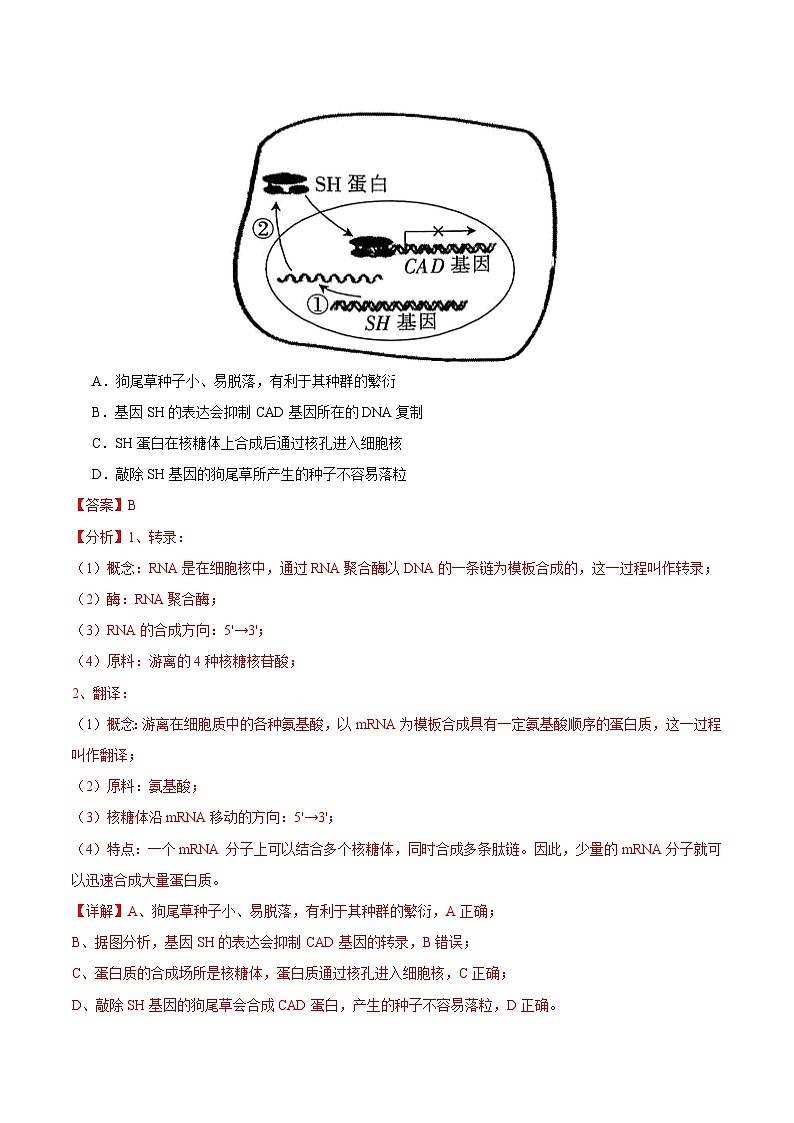 2025年高考押题预测卷：生物（福建卷03）（解析版）第3页