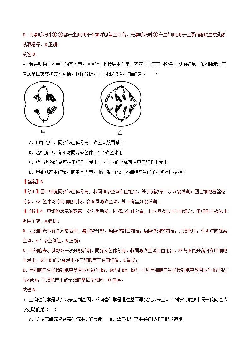 2025年高考押题预测卷：生物（广东卷02）（解析版）第3页