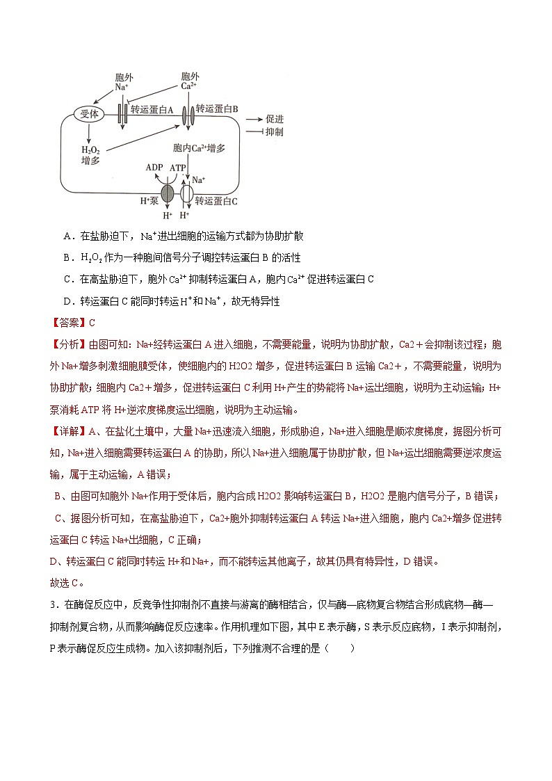 2025年高考押题预测卷：生物（湖南卷02）（解析版）第2页