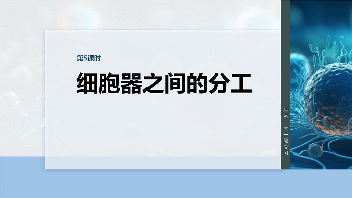 第二单元　第5课时　细胞器之间的分工第1页