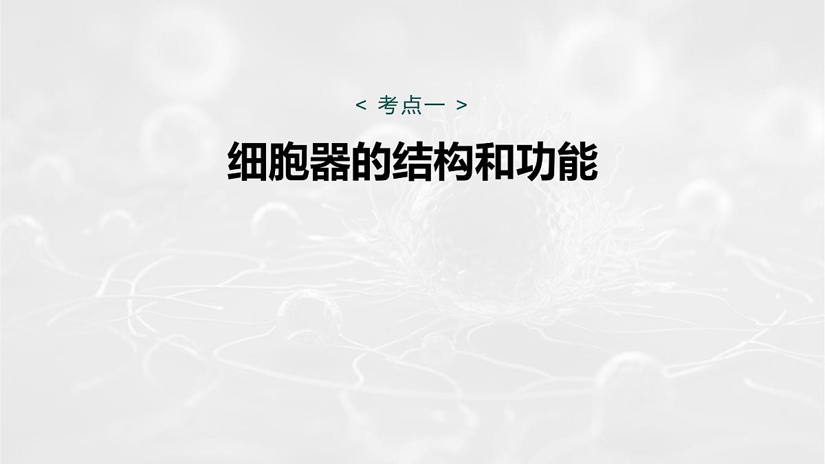 第二单元　第5课时　细胞器之间的分工第5页