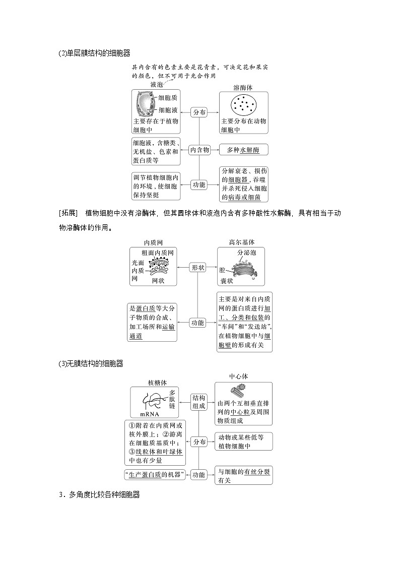 第二单元　第5课时　细胞器之间的分工（教师版）第2页