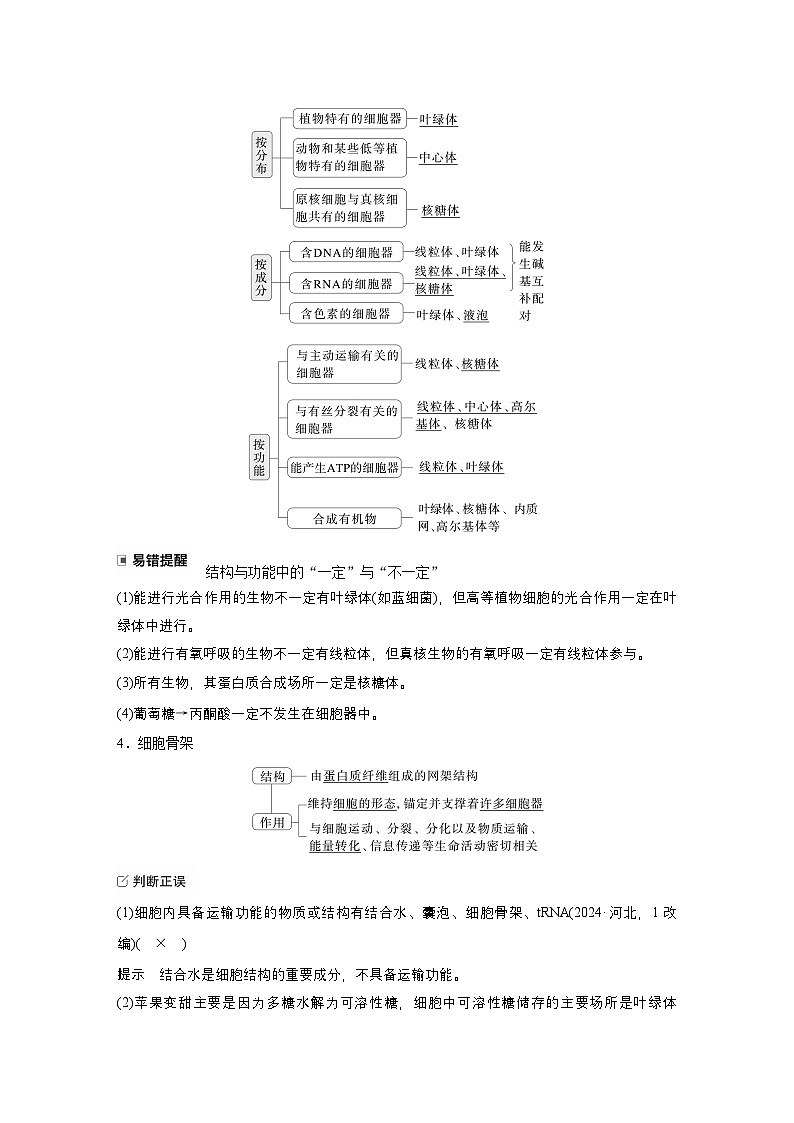 第二单元　第5课时　细胞器之间的分工（教师版）第3页