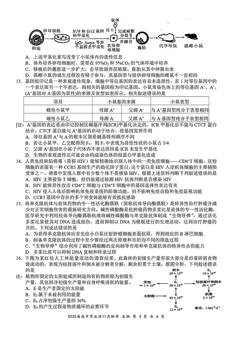 广西壮族自治区新课程教研联盟2025届高三11月联考-生物试卷（含答案）第3页