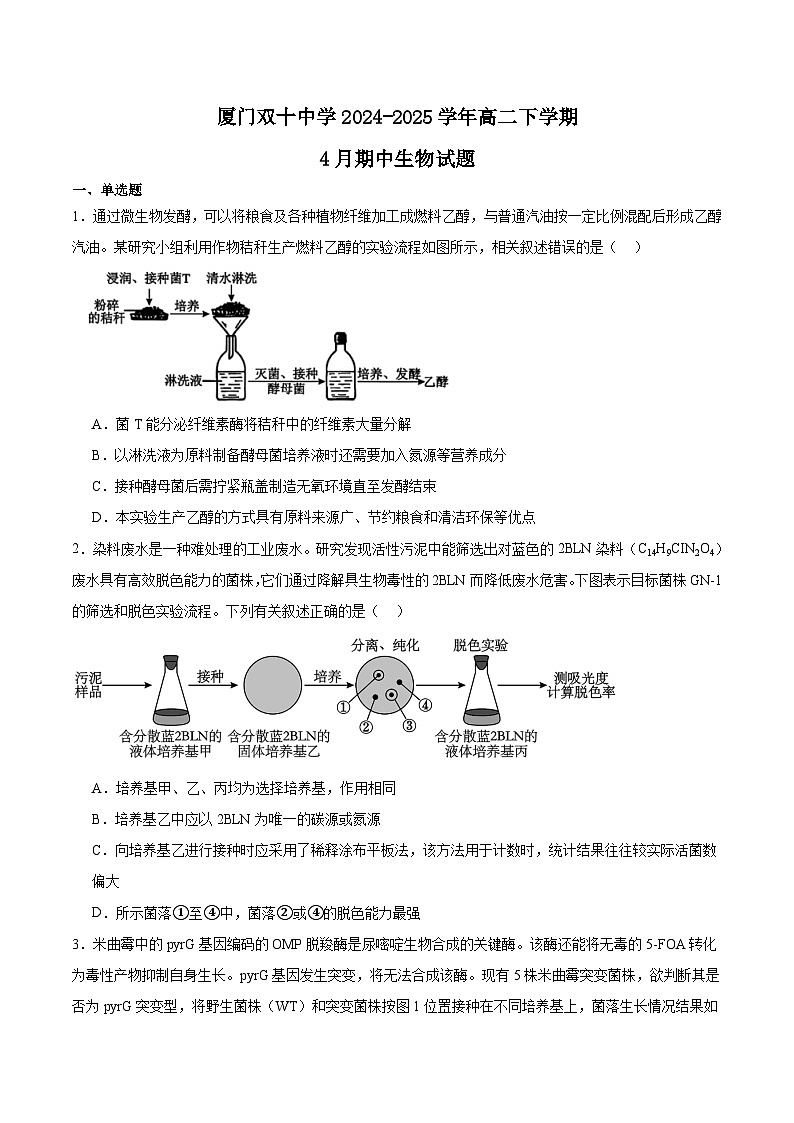 福建省厦门双十中学2024-2025学年高二下学期4月期中考试生物试卷（Word版附答案）第1页