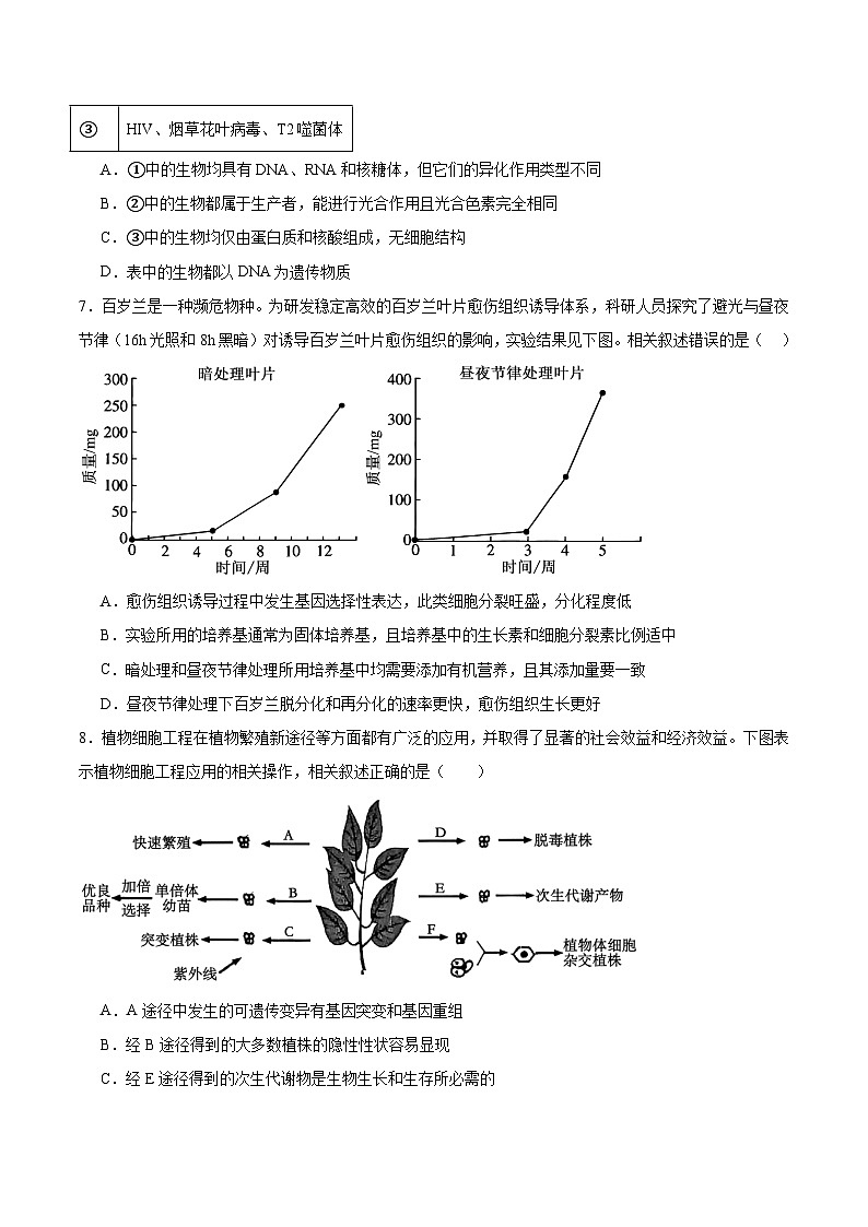 福建省厦门双十中学2024-2025学年高二下学期4月期中考试生物试卷（Word版附答案）第3页