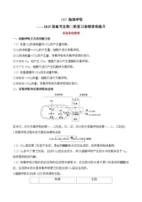 高考生物二轮复习易错重难题提升练习(5)细胞呼吸(含解析)