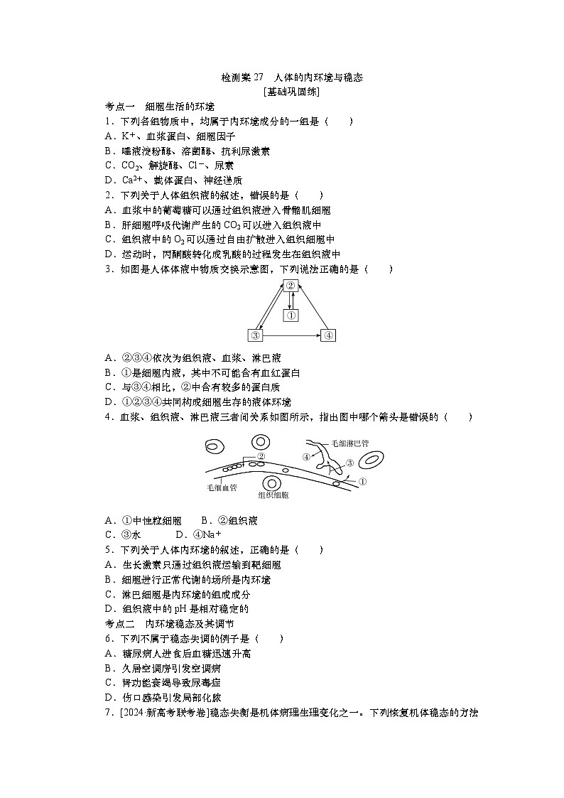2025届高考生物学一轮复习检测练习27　人体的内环境与稳态（含解析）第1页