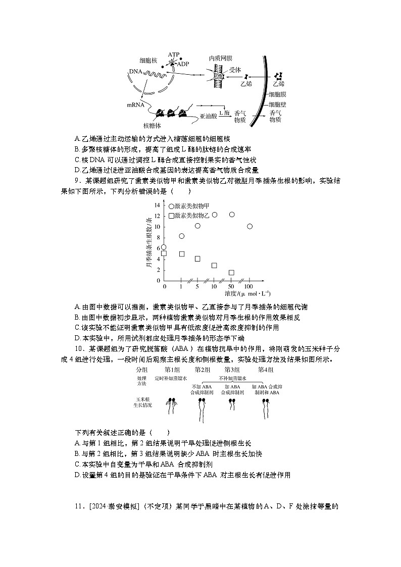 2025届高考生物学一轮复习检测练习32　植物的激素调节（二）（含解析）第3页