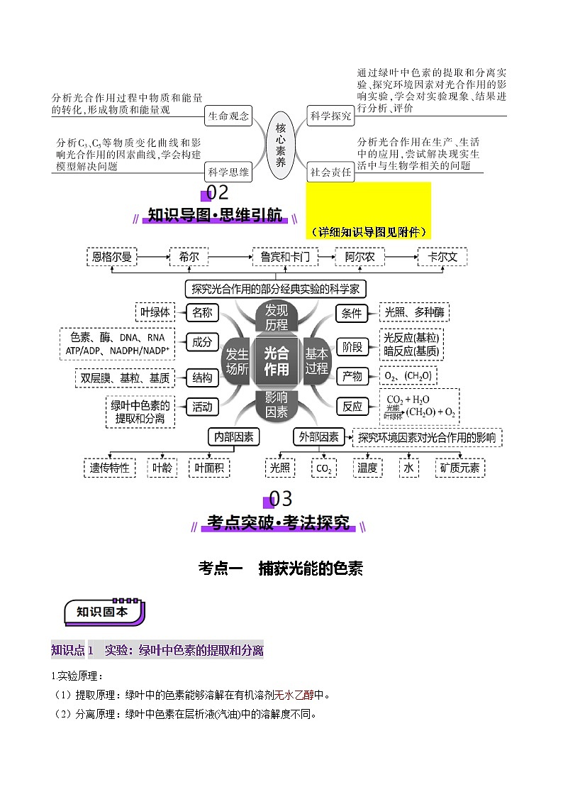 高考生物一轮复习讲练测第10讲 光合作用（第一课时）（讲义）（原卷版）第3页