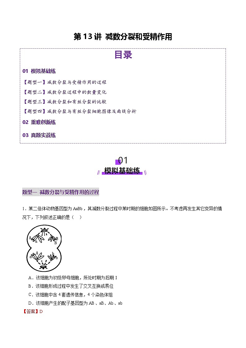 高考生物一轮复习讲练测第13讲 减数分裂和受精作用（练习）（解析版）第1页