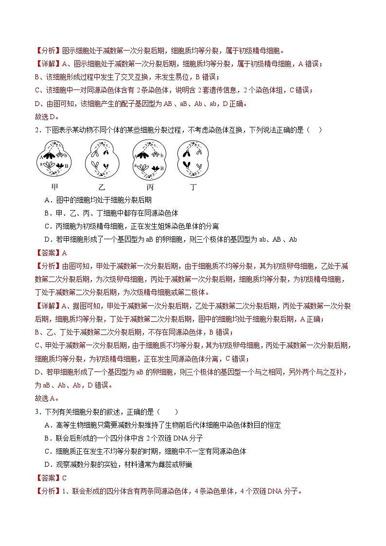 高考生物一轮复习讲练测第13讲 减数分裂和受精作用（练习）（解析版）第2页