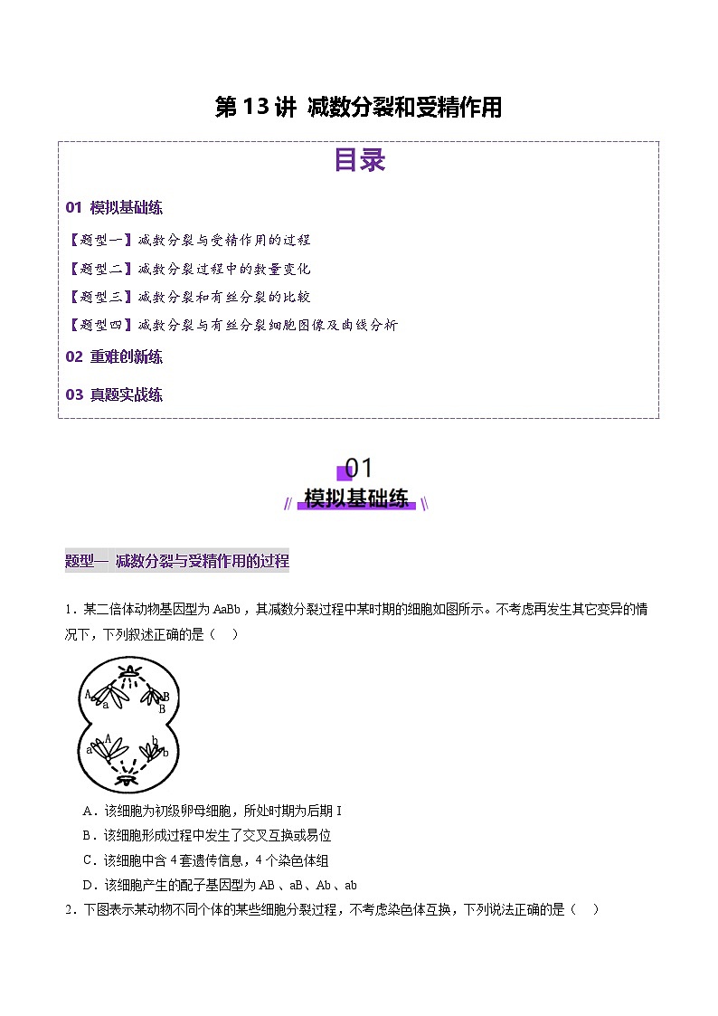 高考生物一轮复习讲练测第13讲 减数分裂和受精作用（练习）（原卷版）第1页