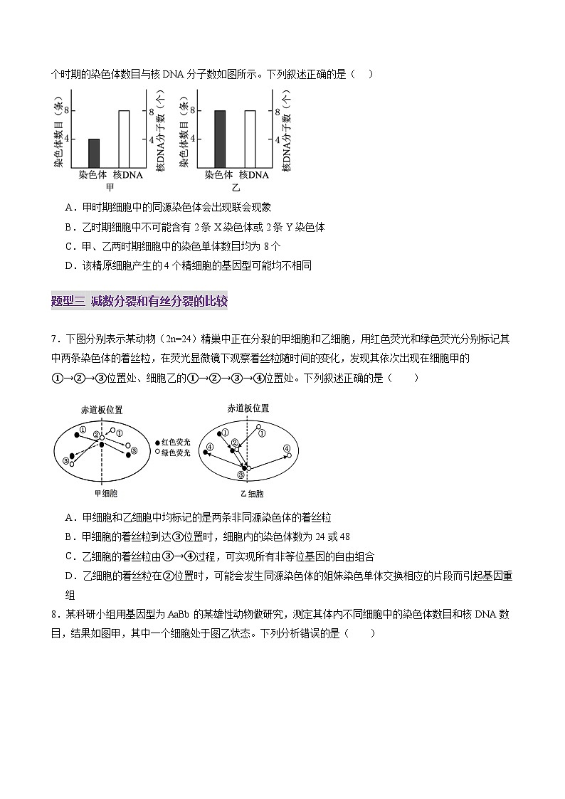 高考生物一轮复习讲练测第13讲 减数分裂和受精作用（练习）（原卷版）第3页