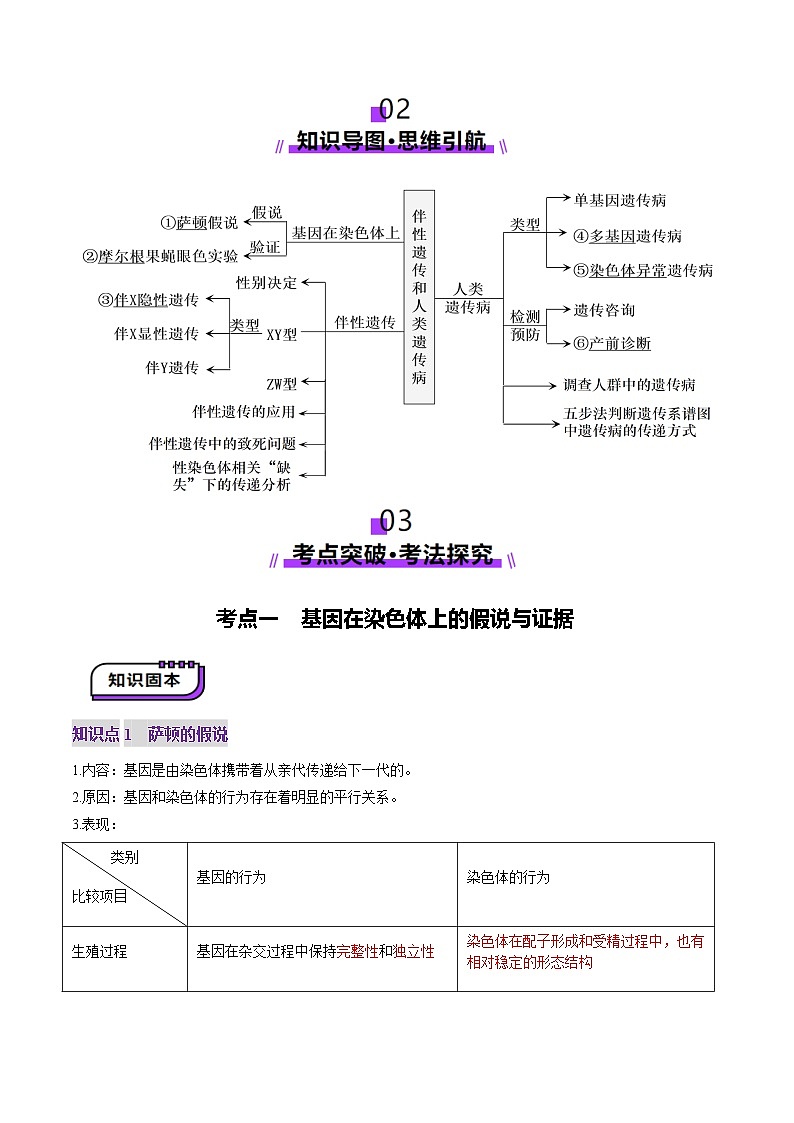 高考生物一轮复习讲练测第17讲 伴性遗传和人类遗传病（讲义）（原卷版）第3页