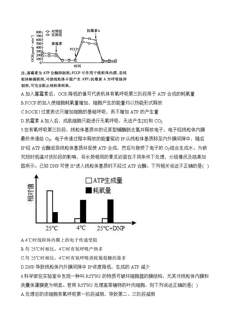 高考生物二轮复习模块分练专题3 细胞代谢（选择题）（含解析）第3页